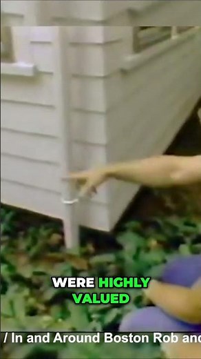 Norm Abrams: The Woodworking Master's Journey to Fame and Expertise