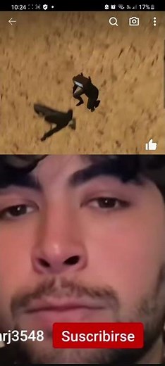 mister bombastic bomba fantastic