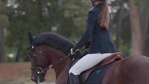 zoe les poneys de zoe sur TikTok