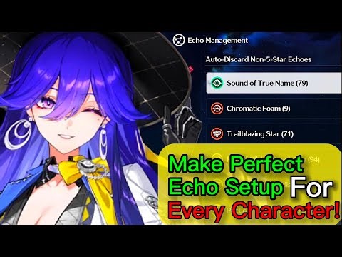 How to use The New Echo Management System in Wuthering Waves!