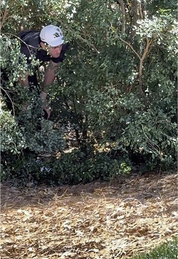 Mike Rodriguez Golf on TikTok