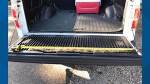 Tennessee outdoorsman finds massive, nearly record-breaking Copperhead snake