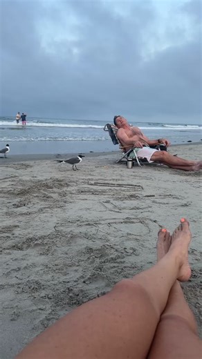Sometimes, you just gotta remind the seagulls that they exist with our permission.