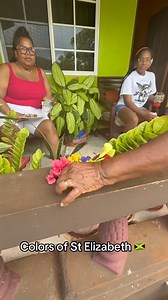Colors of St Elizabeth… 🫶🏾🥹🇯🇲 | Nikki Z