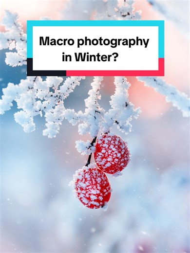 Speak for yourself 😌❄️ Winter - while a more challenging season, offers so many beautiful and unique macro scenes to capture. Frost, snowflakes, freezing soap bubbles with crystal patterns, frozen branches and more! ❄️ #macrophotography #naturephotography #winterphotography #SonyAlpha #MadeWithLightroom