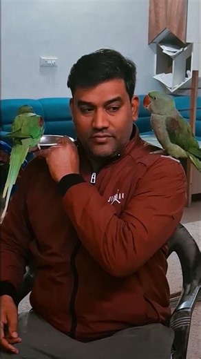 Parrots laugh and talk by mimicking sounds.