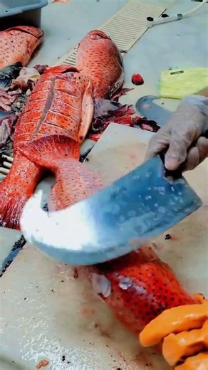 Arabian Nazil Fish Cleaning & Slicing Tutorial #NazilFish #FishCutting #FishCleaning