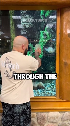 GUY play prank with FISH 🦈🐟😂
