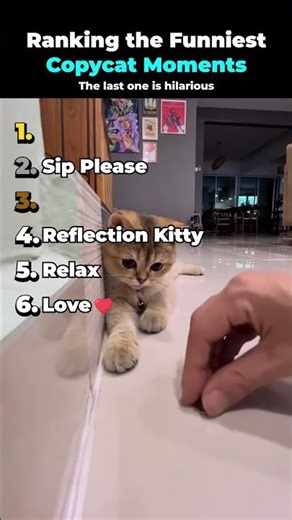 Ranking the Funniest Copycat Moments