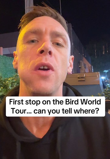 Discovering Bird Markets on the World Tour