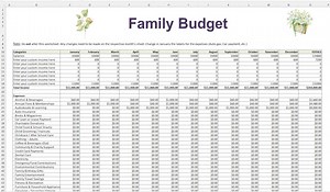 Dave Ramsey Inspired Excel Family Budget Spreadsheet - Auto Filled Summary - Personal Budget Excel - Income Breakdown and 60  Expense Lines - Etsy