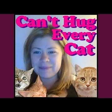 Can't Hug Every Cat