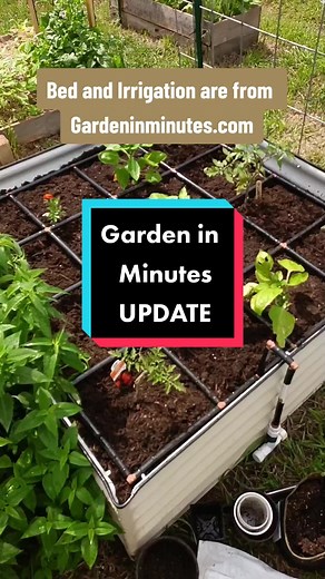 Use code Vanessa25 to save $25 off of your Raised Garden Bed order from @Garden In Minutes ! Want to build a garden that's guaranteed to succeed? Grab a raised bed and irrigation kit from Garden in Minutes and you'll be more than 3/4 there! I've been testing this product in my own garden for 2 months now and it has exceeded my expectations. We had a real spring but now our hot dry summer is here and I'm so thankful to have a bed that is irrigated so well that everything is thriving! #gardeninmin
