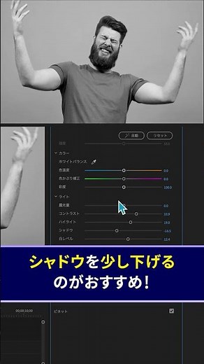 超簡単！モノクロ映像の作り方【Premiere Pro/プレミアプロ チュートリアル】