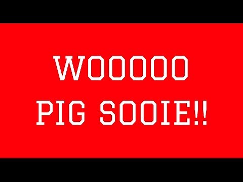 📣 CALL THE HOGS 🐗 WOO PIG SOOIE! RAZORBACKS!