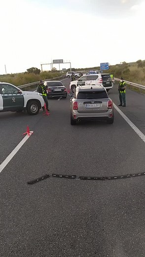 Police Traffic Control on Highway Scene