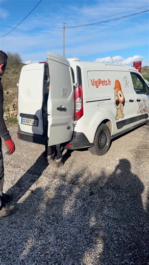 ✨ 🍀 Adoption coup de cœur ! ✨🍀 Voici 𝗡𝗶𝗻𝗮, douce et tranquille, à la recherche de sa famille pour la vie 🐾💖 • 🐶 Née en 2024 • 🐕 Taille moyenne • 💕 Gentille et calme • 🐾 Probablement ok avec d’autres chiens • 🐱 Chats ? On ne sait pas encore 𝗡𝗶𝗻𝗮 rêve d’un foyer aimant… et peut-être que ce foyer, c’est le vôtre ! 🌟 📍 Refuge 66220 – Ille-sur-Têt 🕒 Ouvert tous les jours, même le dimanche, de 14h à 17h 📞 04 68 84 18 93 📧 refuge.asaap@gmail.com 💌 Venez la rencontrer et changez s