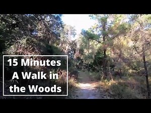 15 Minute Beginner Cardio: Virtual Scenery for Treadmill "A Walk in the Woods"