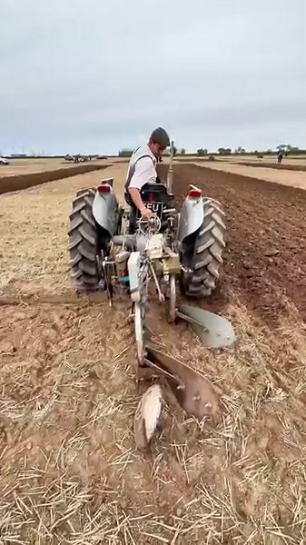 Vintage Ferguson tractor tackles ploughing challenge