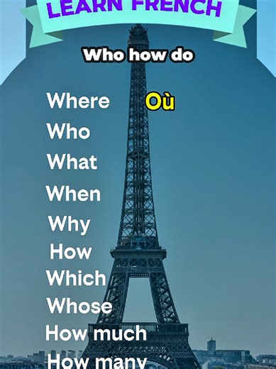 Essential French Phrases for Beginners to Learn