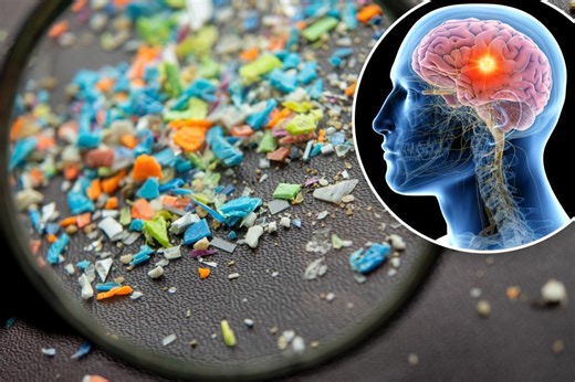 5 ways to reduce the microplastics in your body — as study finds a spoonful in our brains