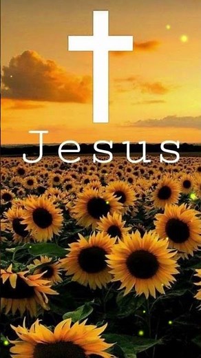 Hillsong Worship Playlist 2024 #christianmusic #music #hillsongplaylist #christiansongs #hillsong
