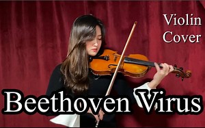 贝多芬病毒 & 小提琴 Beethoven Virus - Violin cover | SUNDAY Violin