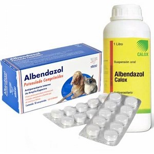 Albendazole for Dogs: What is it? What is it for? Dose ▷➡️ Postposmo