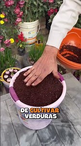 Hydroponics from Scratch: How to Grow Food Without Soil and Save on Groceries