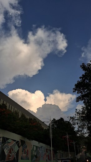 Hijab style 🧕🏻💗🍃 #fyp #explore #explorepage #hijab #hijaber #hijabers #foryou #sohilaeladawii💜 | Sohila Eladawy