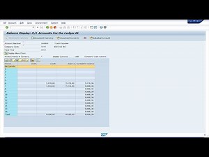[Kofax RPA] Data collection from a desktop application (SAP)