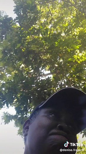 Denise Fraser on TikTok