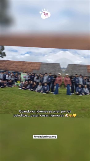 ✨🐶 GRACIAS, Colegio San Viator 🐶✨ Los días 27 y 28 de enero de 2026, recibimos con el corazón lleno a 6 cursos de décimo grado, y lo que hicieron en nuestro refugio fue simplemente increíble. Nos ayudaron a pintar, a mejorar espacios, a jugar y pasear a nuestros peluditos, y además nos trajeron comida 🥹💛 Cada brocha, cada caricia y cada minuto compartido… fue un recordatorio de que todavía existe mucha gente buena. Gracias por sumar amor a esta manada y por dejar huella en nuestro refugio 🐾