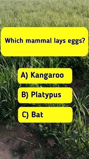Science & Technology MCQs | Future Tech Quiz 🤖
