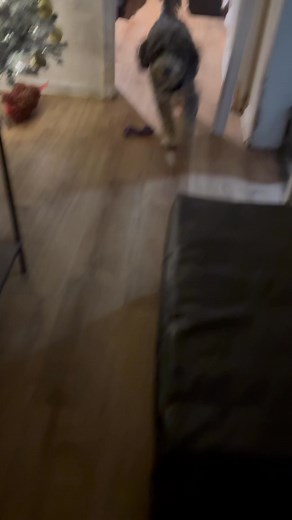 Grateful for humble beginnings | Christopher Bruce