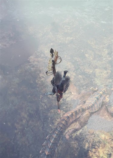 Assassin's Aerial Assault #teamdarkside #monsterhunter #mhw