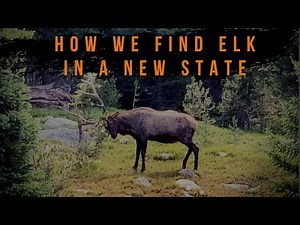 How I Find Elk In A NEW Unit