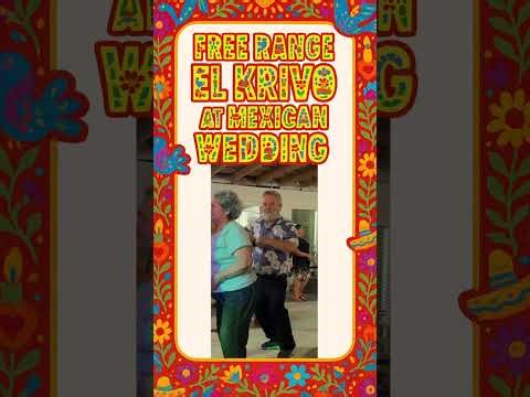 Free Range El Krivo at Mexican Wedding! Mammas Don't Raise Your Babies to be Boring!