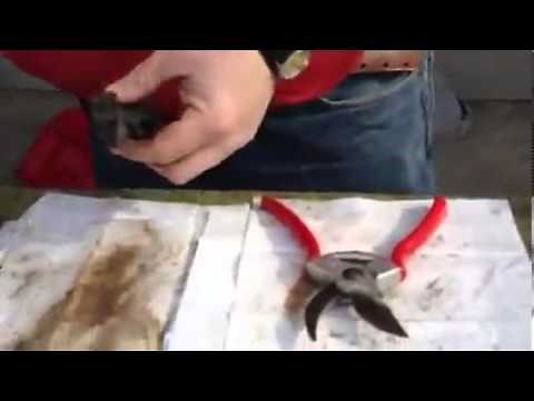 How to Clean a Hand Pruner