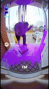 This porch pirate thought he was getting an easy grab… until the package detonated with a massive blast of neon purple paint! 💜💥 Watch him slip, scream, and file the funniest “complaint” you’ve ever heard as instant karma hits harder than the explosion itself. 🎥 Doorbell Cam Footage 😂 Full Tantrum Caught on Camera 💜 Purple Paint Explosion Subscribe for more porch pirate fails, instant karma moments, and hilarious doorbell cam episodes! #reels | Sora Funny Videos
