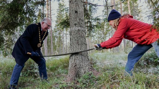 Norway donates a Christmas tree to London every year. Here's how the tradition began