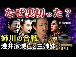 本当の姉川の合戦 朝倉義景・浅井長政VS織田信長・徳川家康 「どうする家康」歴史解説25