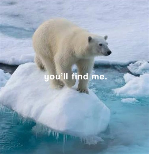 Save the Polar Bears: Join Our Conservation Efforts