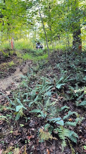 1.3K views · 1.9K reactions | No brakes. No fear. Just flow. 易⚡ Steven Harrell going full send down this groovy line. #FearlessLife #LiveFearless #MakeYourLifeLegendary #AdrenalineCulture #StayFearless #FearlessMovement #FearlessMindset #LiveCleanRideHard #FearOverFaith #FearlessEnergy | Fearlesslifeteam | Facebook