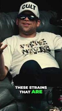 Nostalgic Weed: Remembering the Best Strains & Flavors #shorts