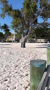 212K views · 5.4K reactions | What a day at Sombrero Beach! Some sunshine and #MondayMotivation from the #FloridaKeys | The Florida Keys & Key West | Facebook