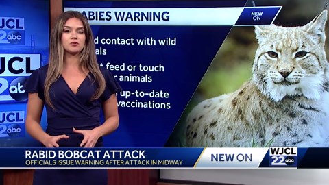 Georgia man fights off rabid bobcat with bare hands