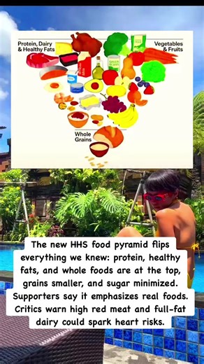 The traditional base‑heavy pyramid has been flipped upside down — now protein, healthy fats, fruits & vegetables are emphasized most, with whole grains at the smaller bottom portion.