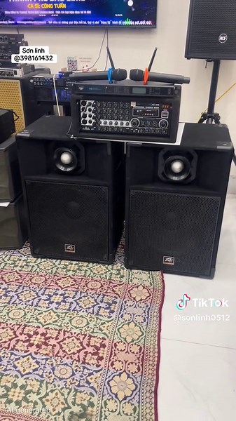 Ful combo bas 40 có blutoonh đủ hoạt động tốt mọi chức năng giá nhanh gọn cho cả bộ ae nào cần ib cho em ngay nhé #sonlinh #trending #karaoketiktok #âmnhạcchọnlọc #hottrend