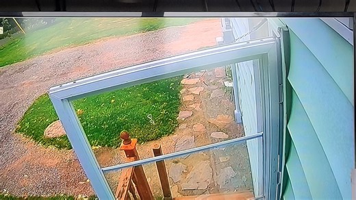 Why does my zosi system keep flashing like that? It's only camera 1